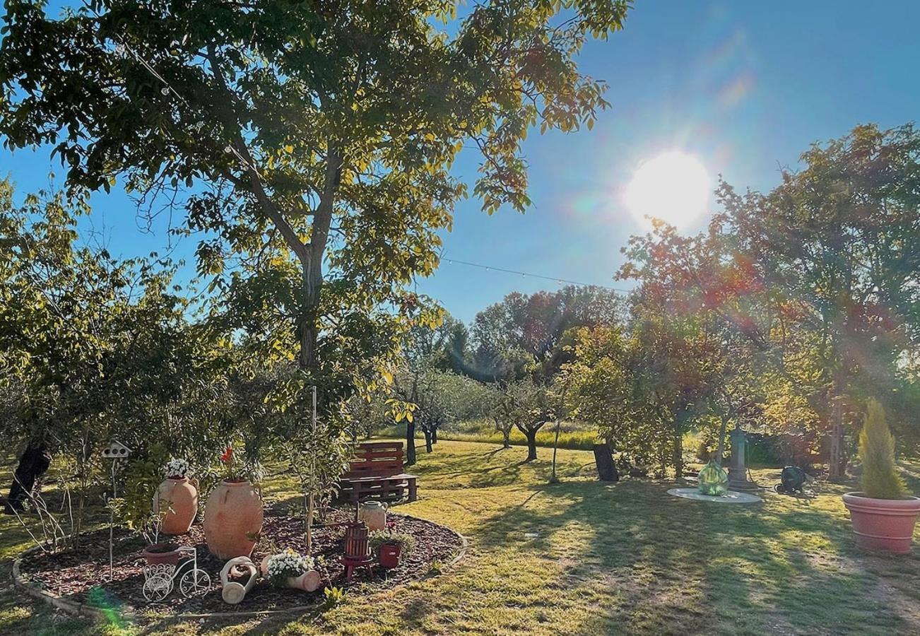 Ca Di Milla B&B Assisi Exterior photo